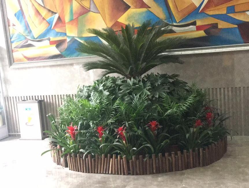 會務(wù)綠植租擺